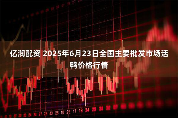 亿润配资 2025年6月23日全国主要批发市场活鸭价格行情